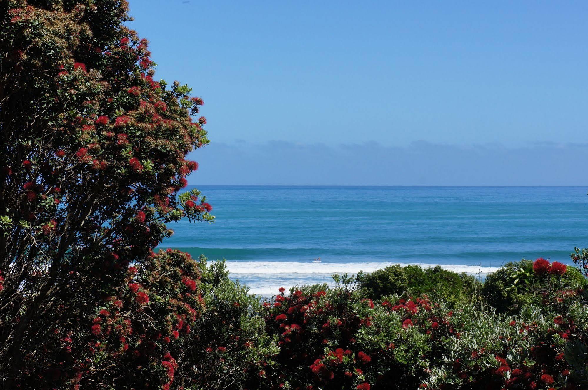 Fitzroy Beach Holiday Park 뉴플리머스 외부 사진