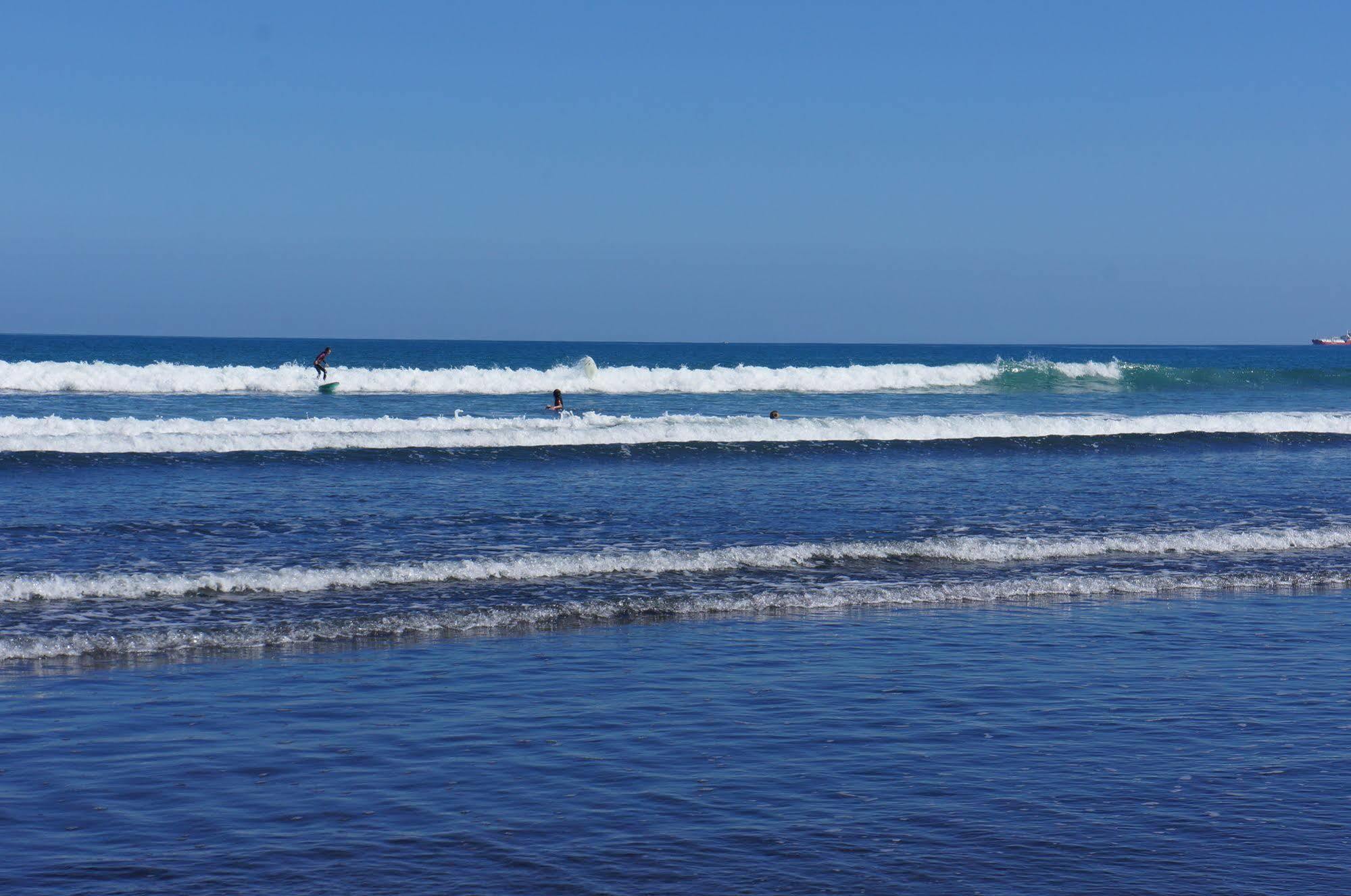 Fitzroy Beach Holiday Park 뉴플리머스 외부 사진